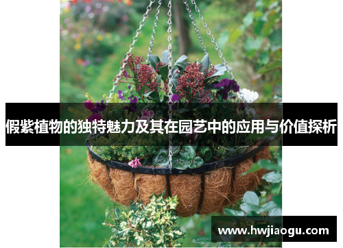假紫植物的独特魅力及其在园艺中的应用与价值探析