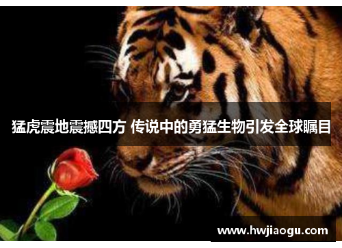 猛虎震地震撼四方 传说中的勇猛生物引发全球瞩目
