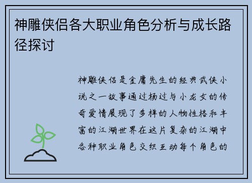 神雕侠侣各大职业角色分析与成长路径探讨